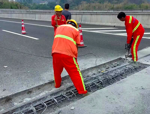 ����鿴����